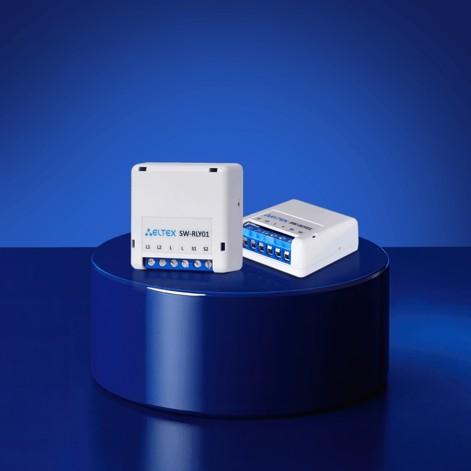 SW-RLY01